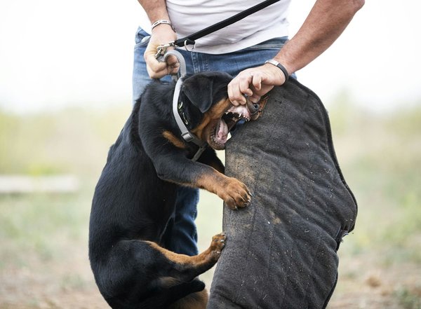 Amélioration de l'habitat : sécuriser le quotidien des seniors