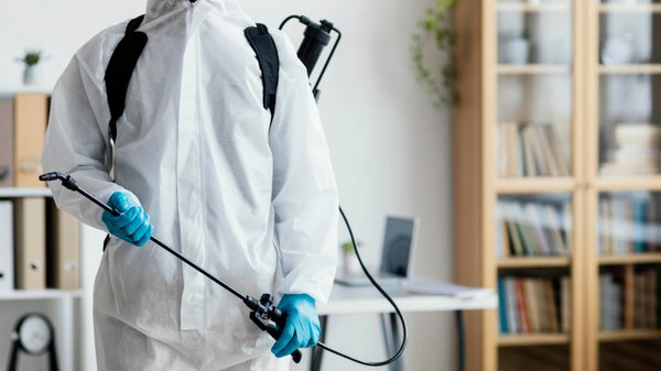 Les solutions d'expert anti-rongeurs pour vos équipements informatiques